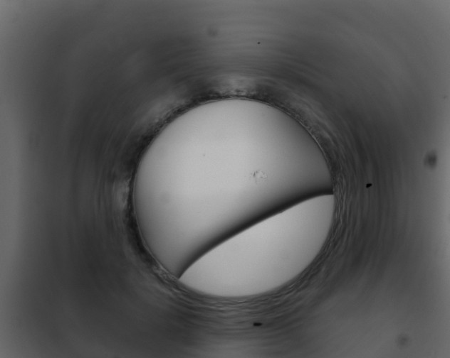 X0000102480652200808081034