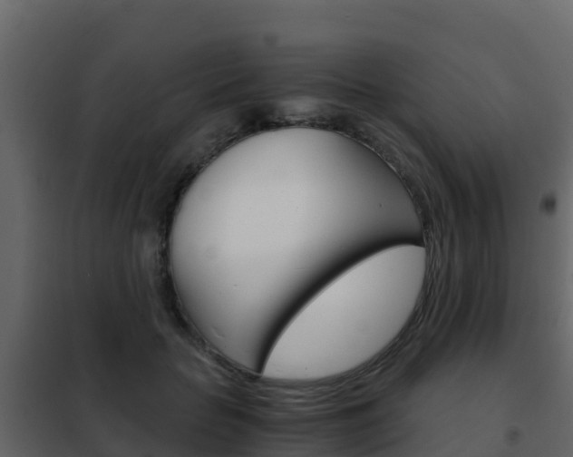 X0000102480653200808081034