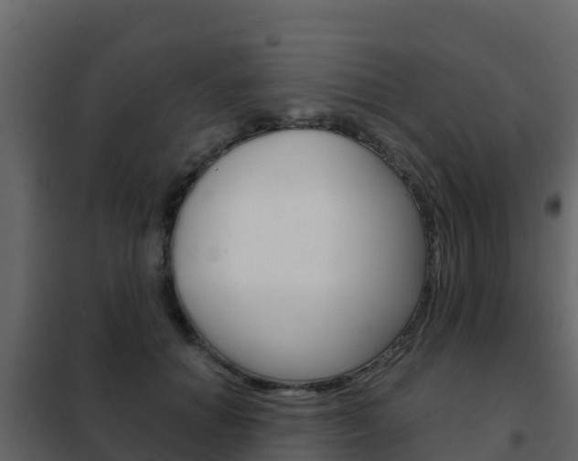 X0000102480654200808081034