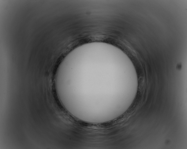 X0000102480655200808081034