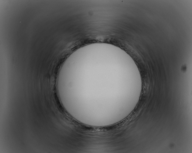X0000102480656200808081034