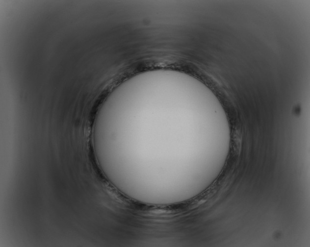 X0000102480657200808081034