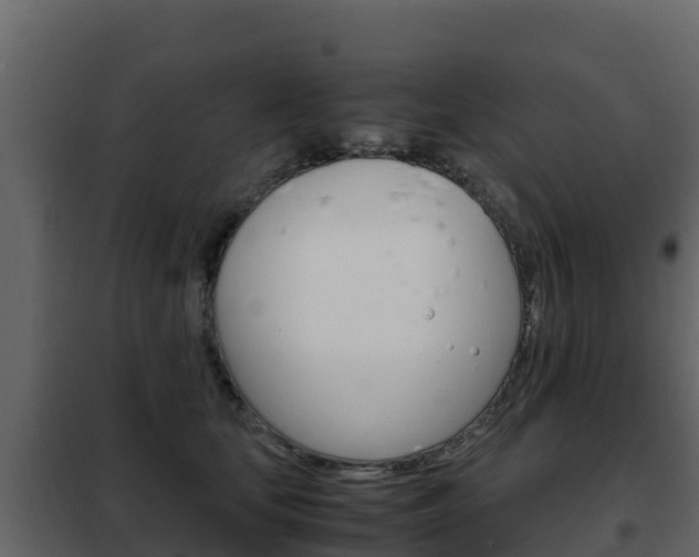 X0000102480659200808081034
