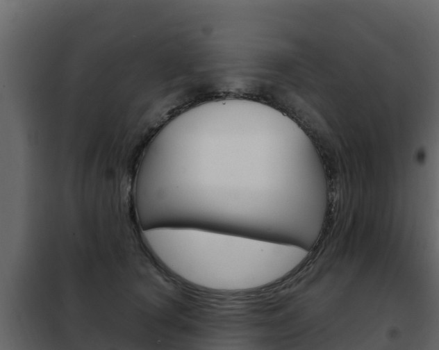 X0000102480660200808081034