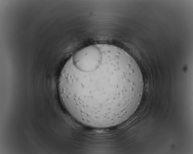 X0000102480662200808081034