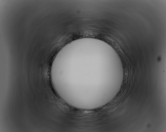 X0000102480663200808081034