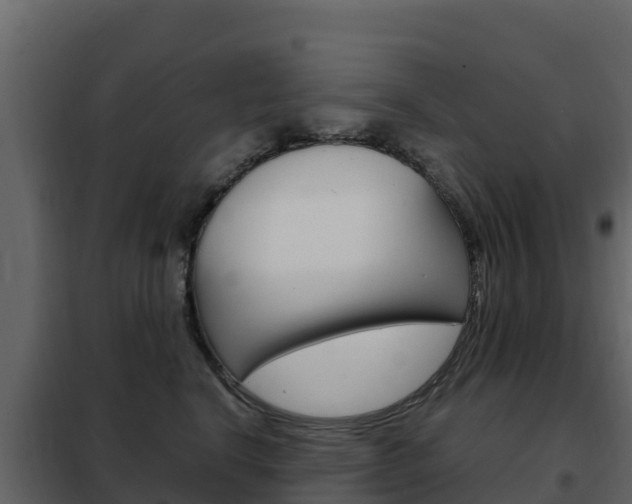 X0000102480664200808081034