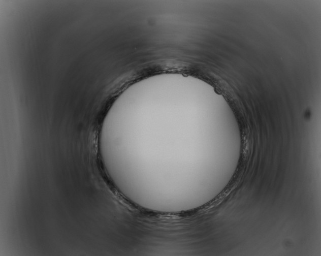 X0000102480666200808081034