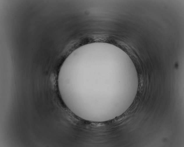 X0000102480667200808081034