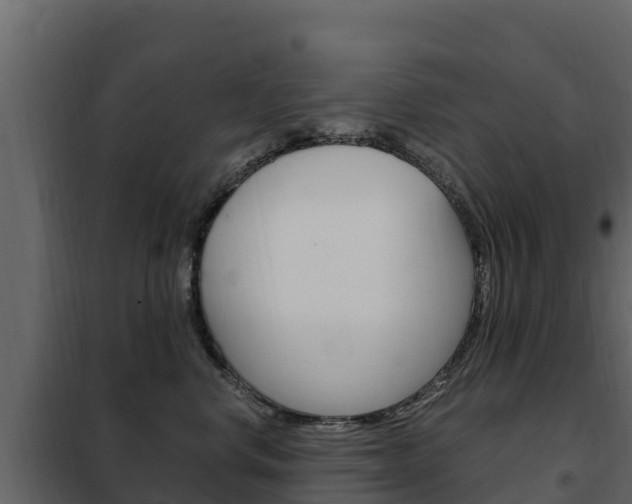 X0000102480668200808081034