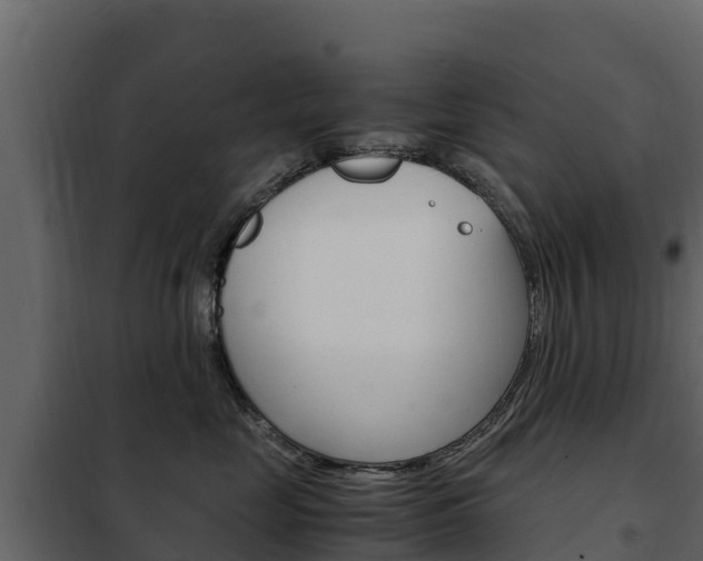 X0000102480669200808081034