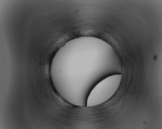 X0000102480670200808081034