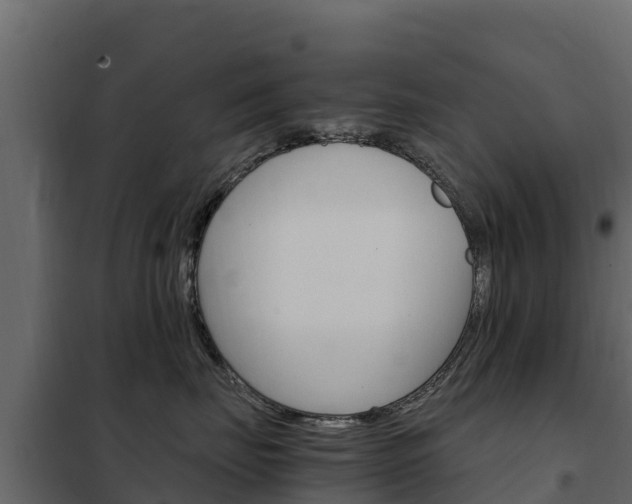 X0000102480671200808081034