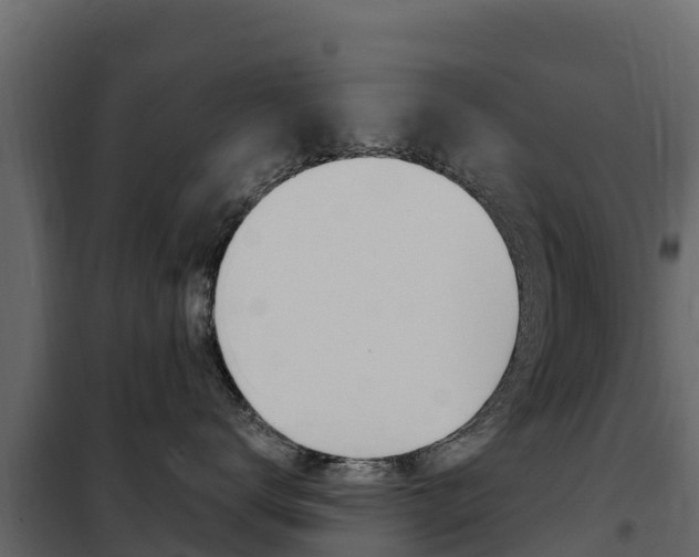 X0000102480672200808081034