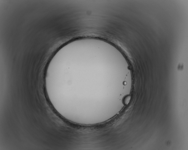 X0000102480673200808081033
