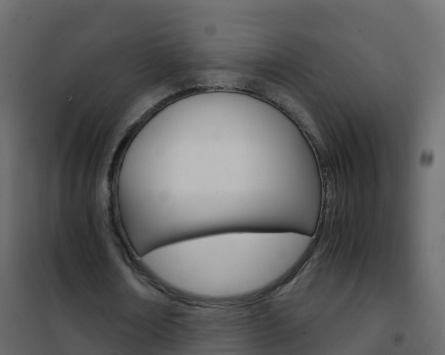 X0000102480674200808081033