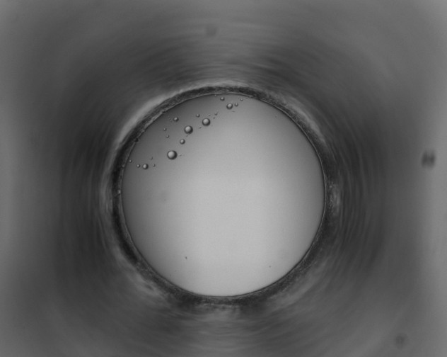 X0000102480676200808081033