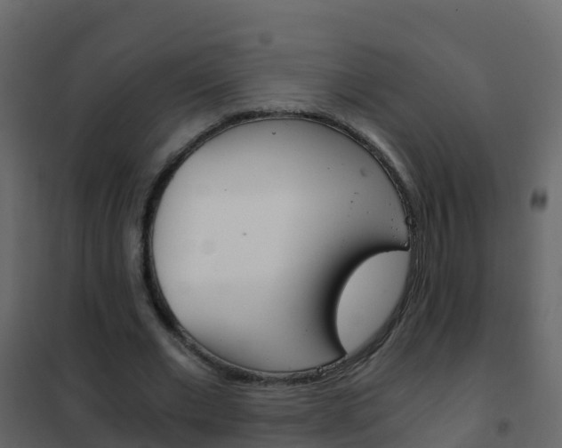 X0000102480677200808081033
