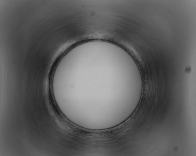 X0000102480678200808081033