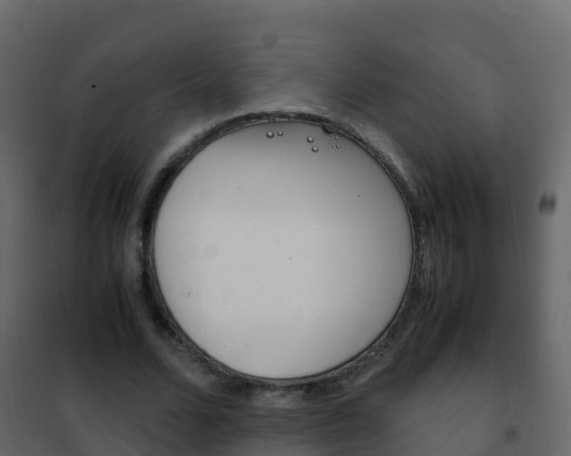 X0000102480680200808081033