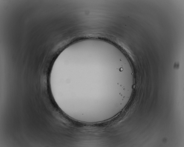 X0000102480681200808081033