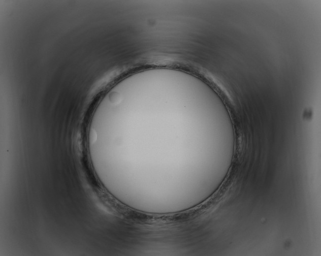 X0000102480682200808081033