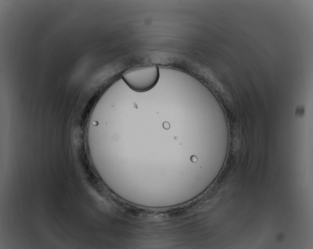 X0000102480683200808081033