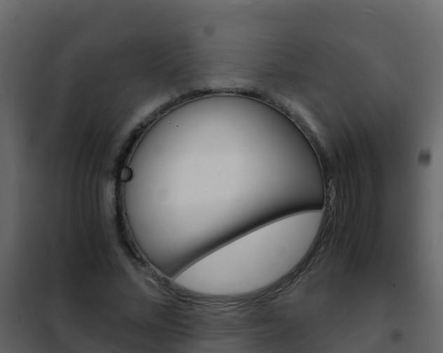 X0000102480684200808081033