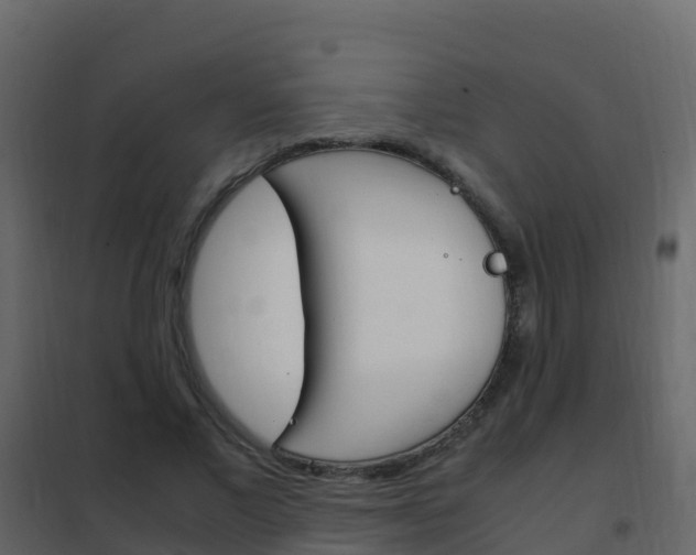 X0000102480685200808081033