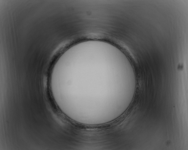 X0000102480686200808081033