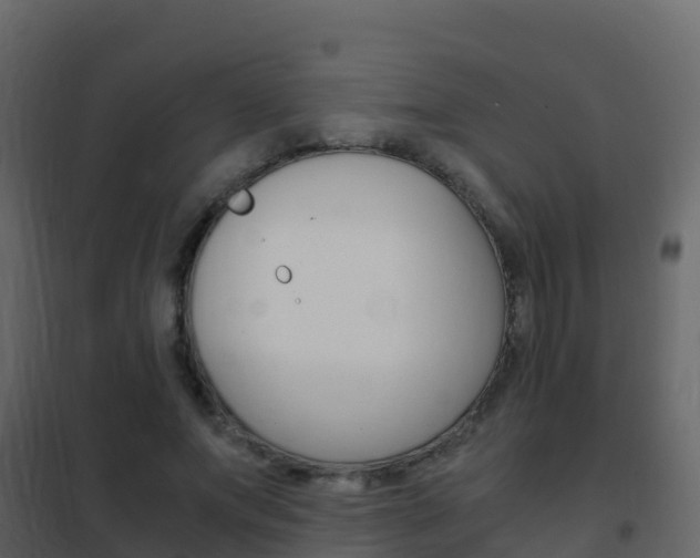 X0000102480687200808081033