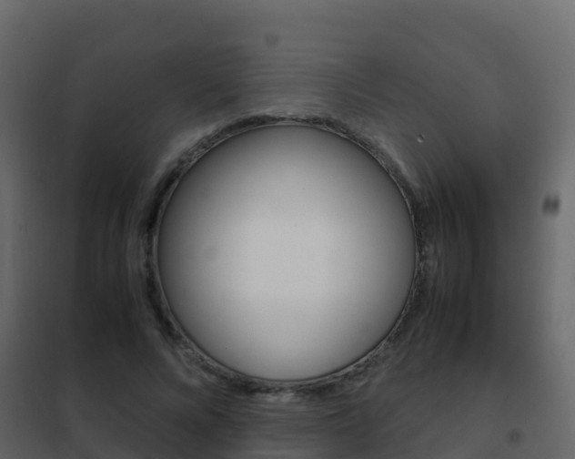 X0000102480688200808081033