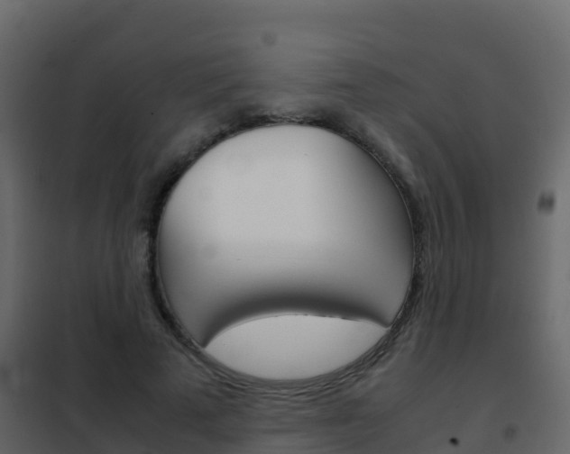 X0000102480689200808081033