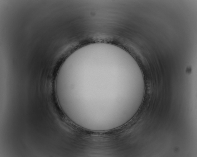 X0000102480690200808081033