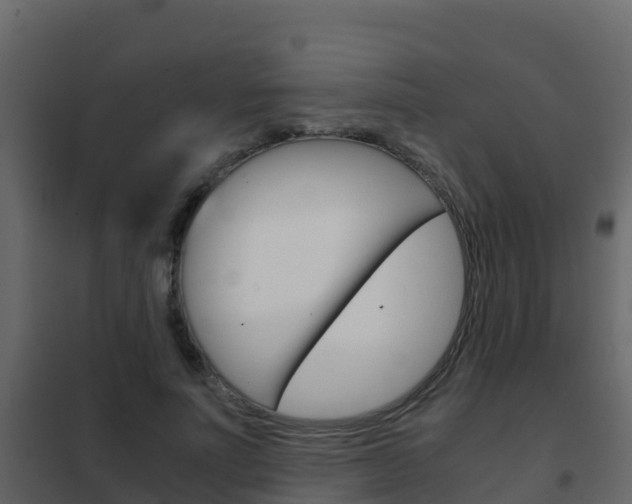 X0000102480691200808081033