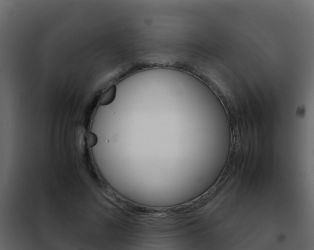 X0000102480692200808081033
