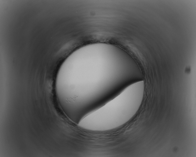 X0000102480693200808081033