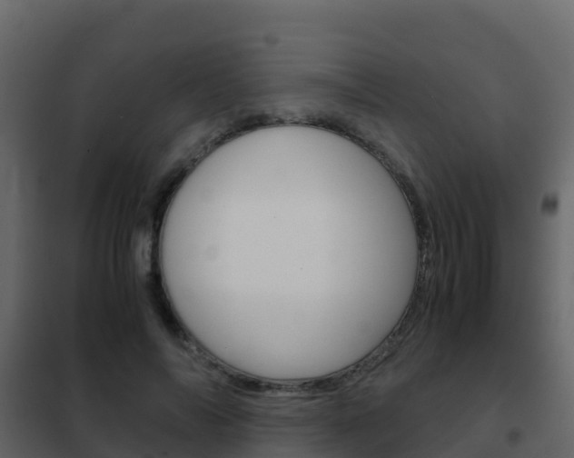 X0000102480694200808081033