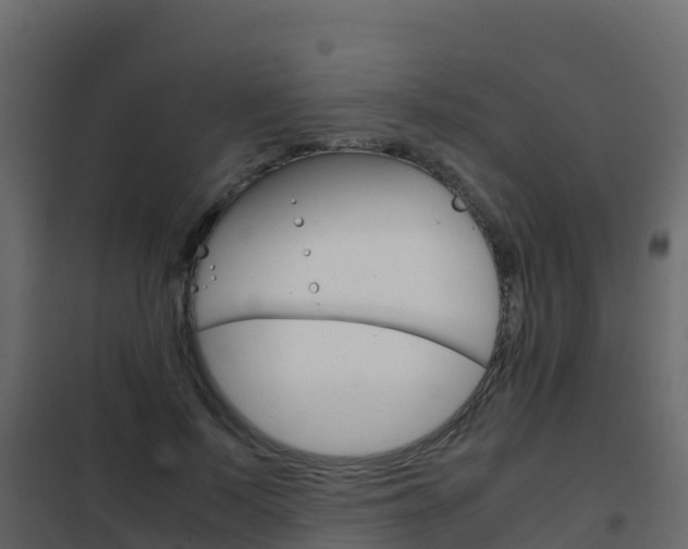 X0000102480695200808081033
