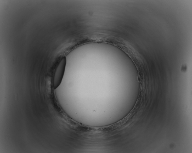 X0000102480696200808081033