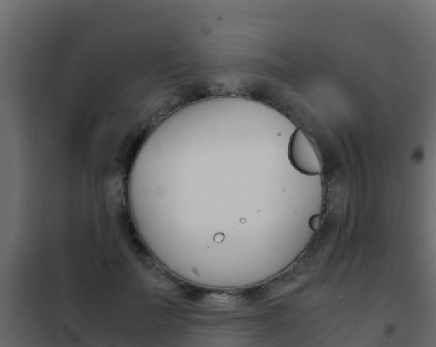 X0000102480699200808081033