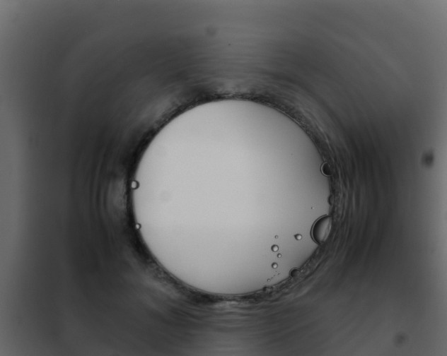X0000102480700200808081033