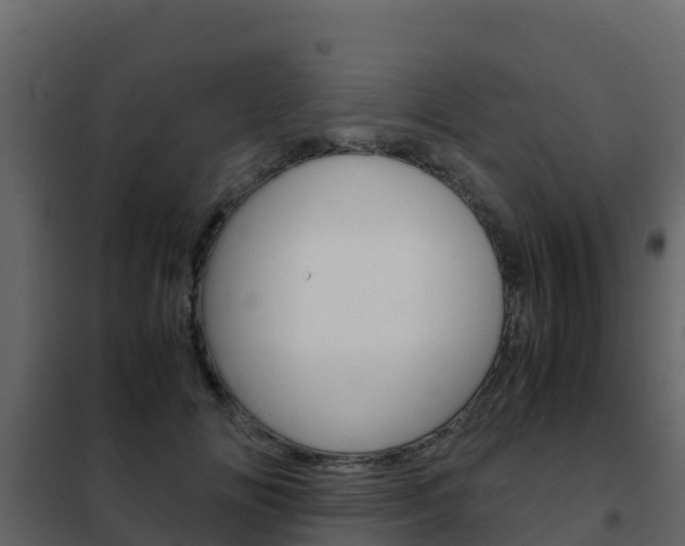 X0000102480702200808081033