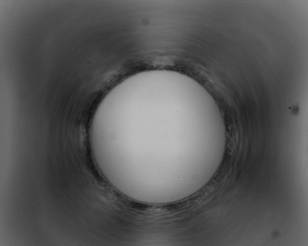 X0000102480704200808081033