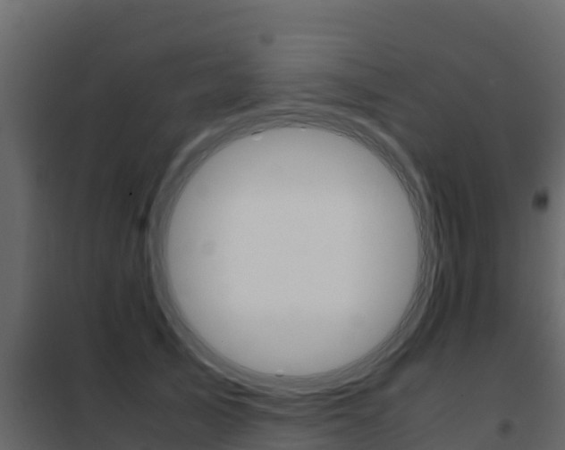 X0000102480705200808081033