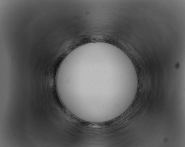 X0000102480706200808081033