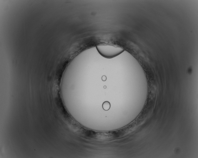 X0000102480707200808081033