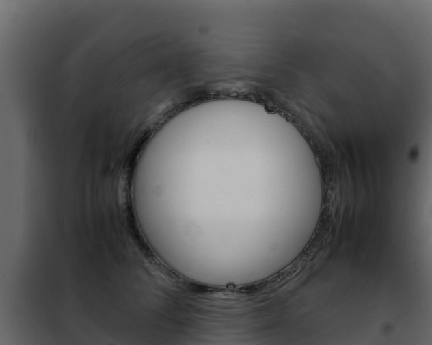 X0000102480708200808081033