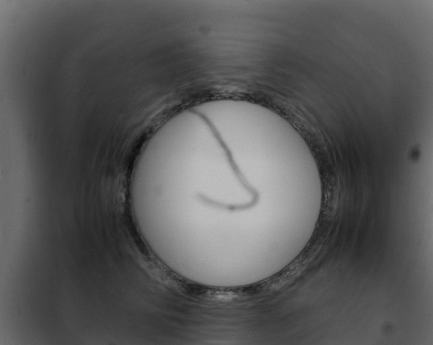 X0000102480710200808081033