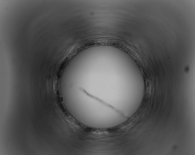 X0000102480712200808081033